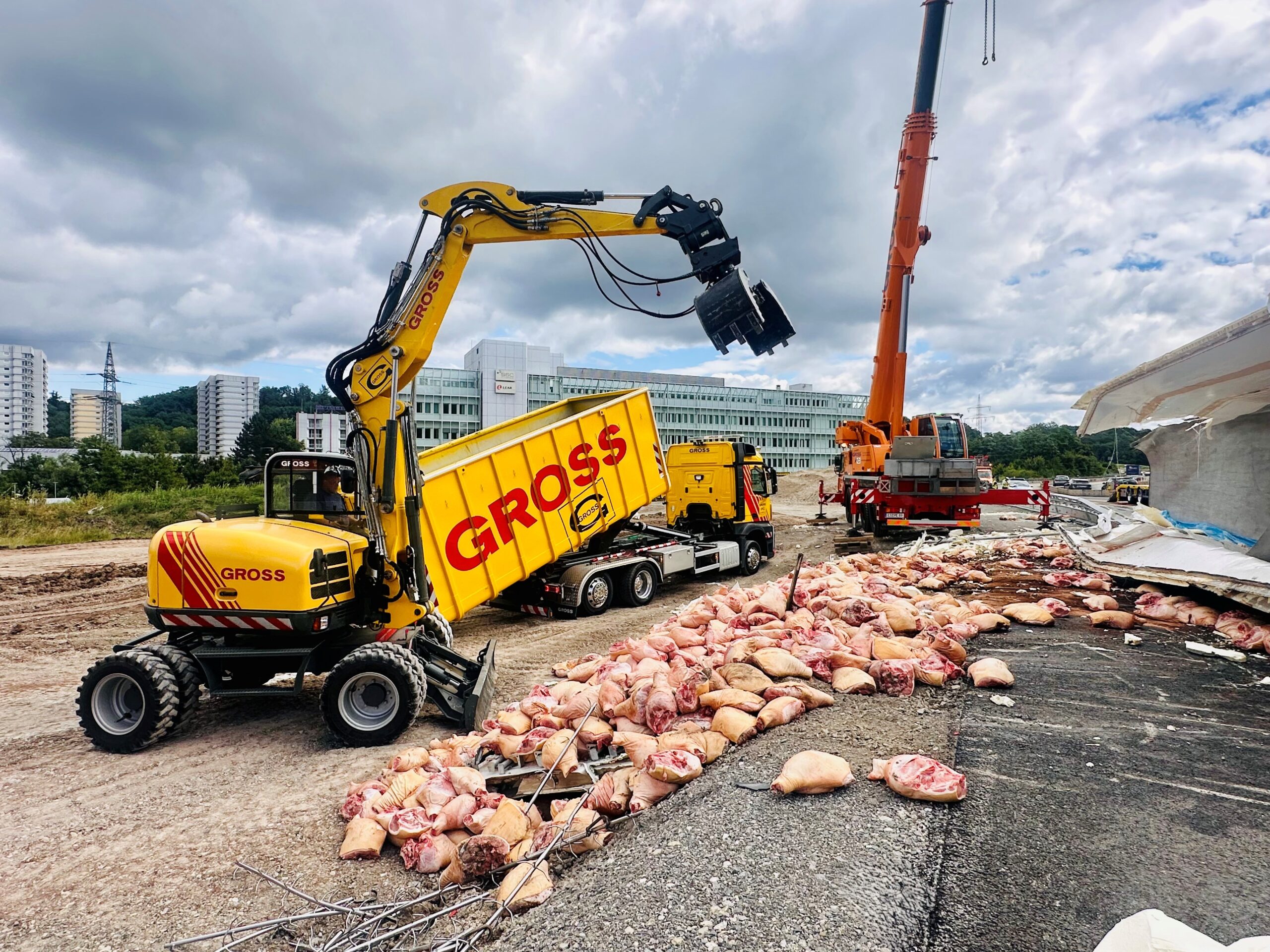 Bagger entlädt Container mit Fleischresten auf Baustelle, Kranauto im Hintergrund, Wolkenhimmel, Gebäude im Hintergrund.